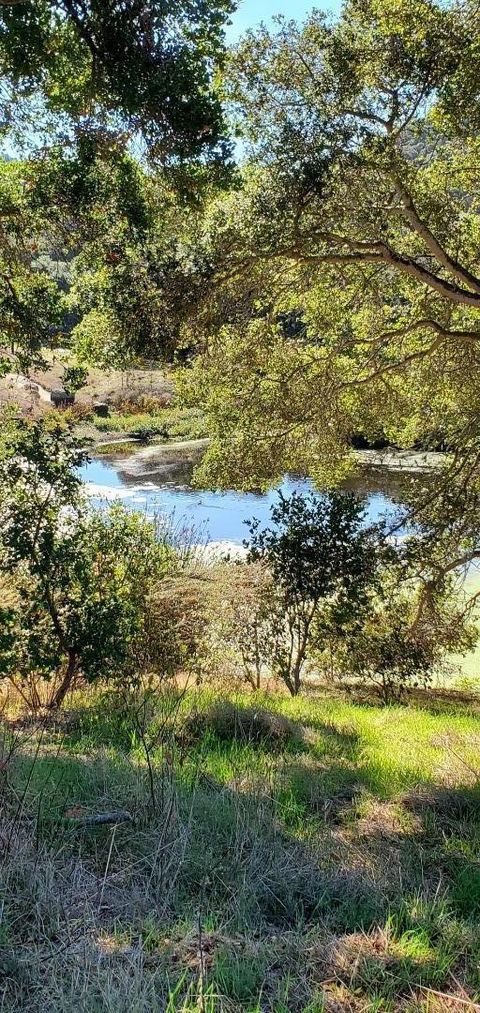 Tiny photo for 20160 Rock Springs Lane, AROMAS, CA 95004 (MLS # ML82027882)