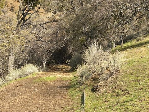 Tiny photo for 19967 Panoche Road, Paicines, CA 95043 (MLS # ML82025645)