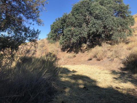 Tiny photo for 19967 Panoche Road, Paicines, CA 95043 (MLS # ML82025645)