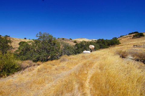 Tiny photo for 19967 Panoche Road, Paicines, CA 95043 (MLS # ML82025645)