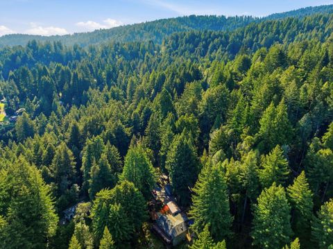 Tiny photo for 675 Western Avenue, BROOKDALE, CA 95007 (MLS # ML82029346)