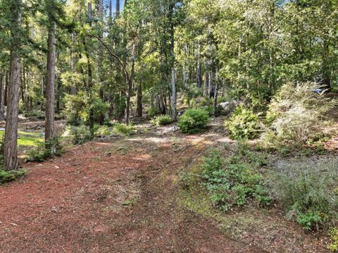 Tiny photo for 675 Western Avenue, BROOKDALE, CA 95007 (MLS # ML82029346)