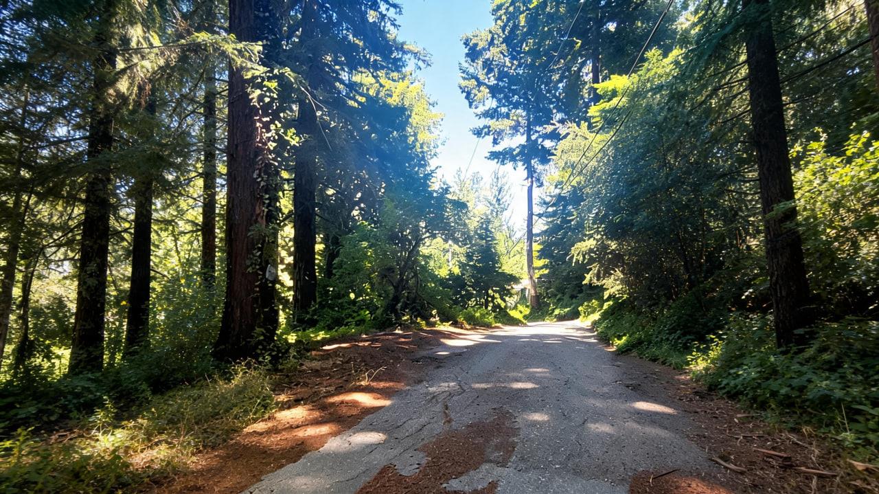 1080 Blue Ridge Drive