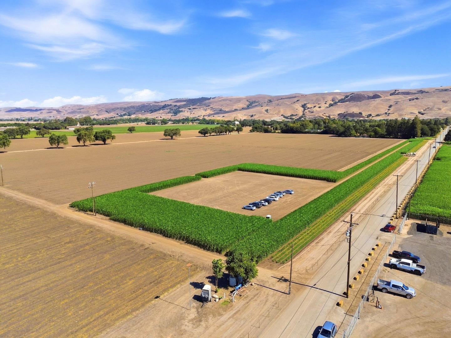 225 Laguna Avenue