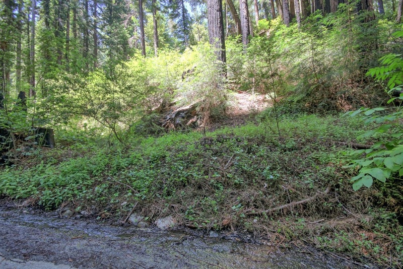 154 Leafwood Drive
