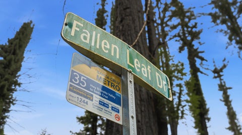 Tiny photo for 135 Fallen Leaf Drive, BOULDER CREEK, CA 95006 (MLS # ML82050547)