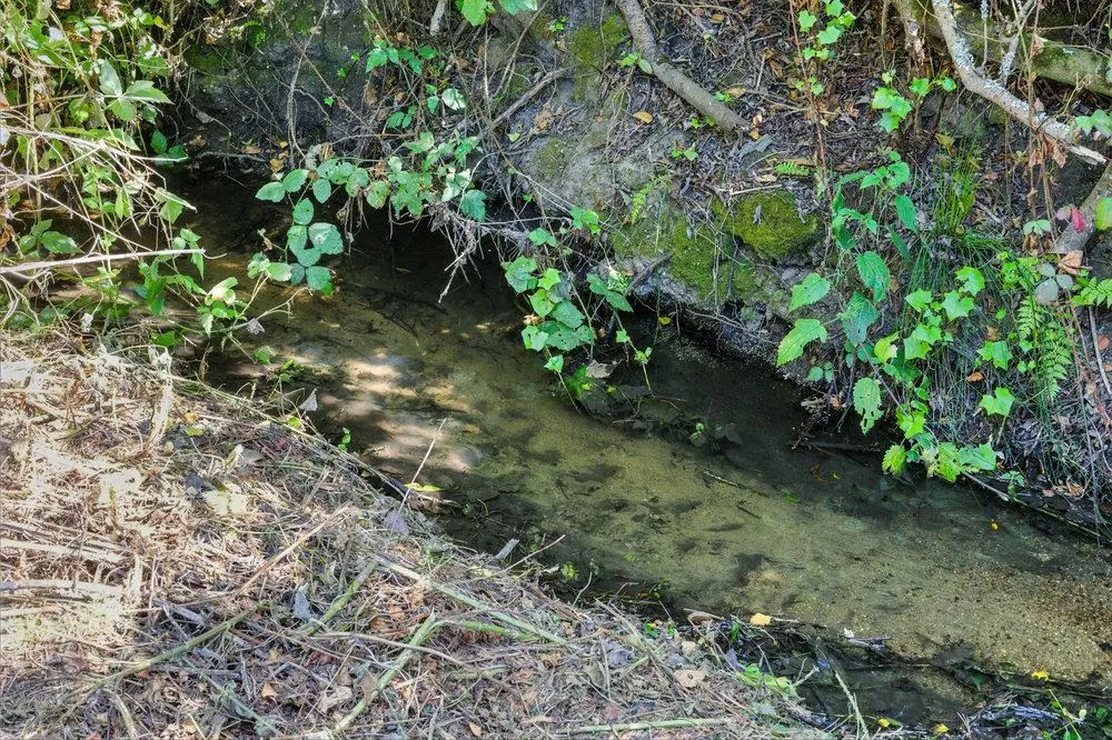 Moss Beach, California 94038, United States, 3 Bedrooms Bedrooms, ,2 BathroomsBathrooms,Residential,Active,195435