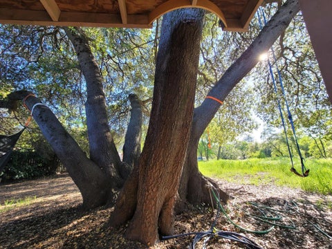 Tiny photo for 1025 Via Treviso, EL DORADO HILLS, CA 95762 (MLS # ML82052873)