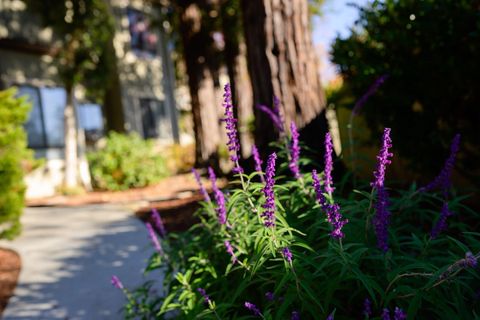 Tiny photo for 111 Bean Creek Road #156, SCOTTS VALLEY, CA 95066 (MLS # ML82029086)