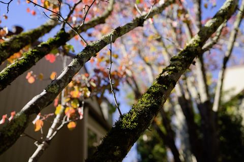 Tiny photo for 111 Bean Creek Road #156, SCOTTS VALLEY, CA 95066 (MLS # ML82029086)