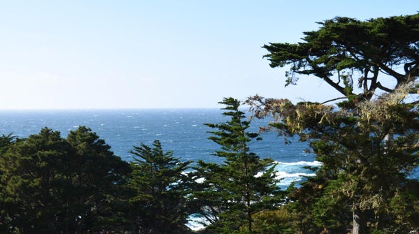14 SPINDRIFT LN, CARMEL, CA 93923 - Image 3ade9c4c63f2bb8700e8e4bcad6691b7/2449717518
