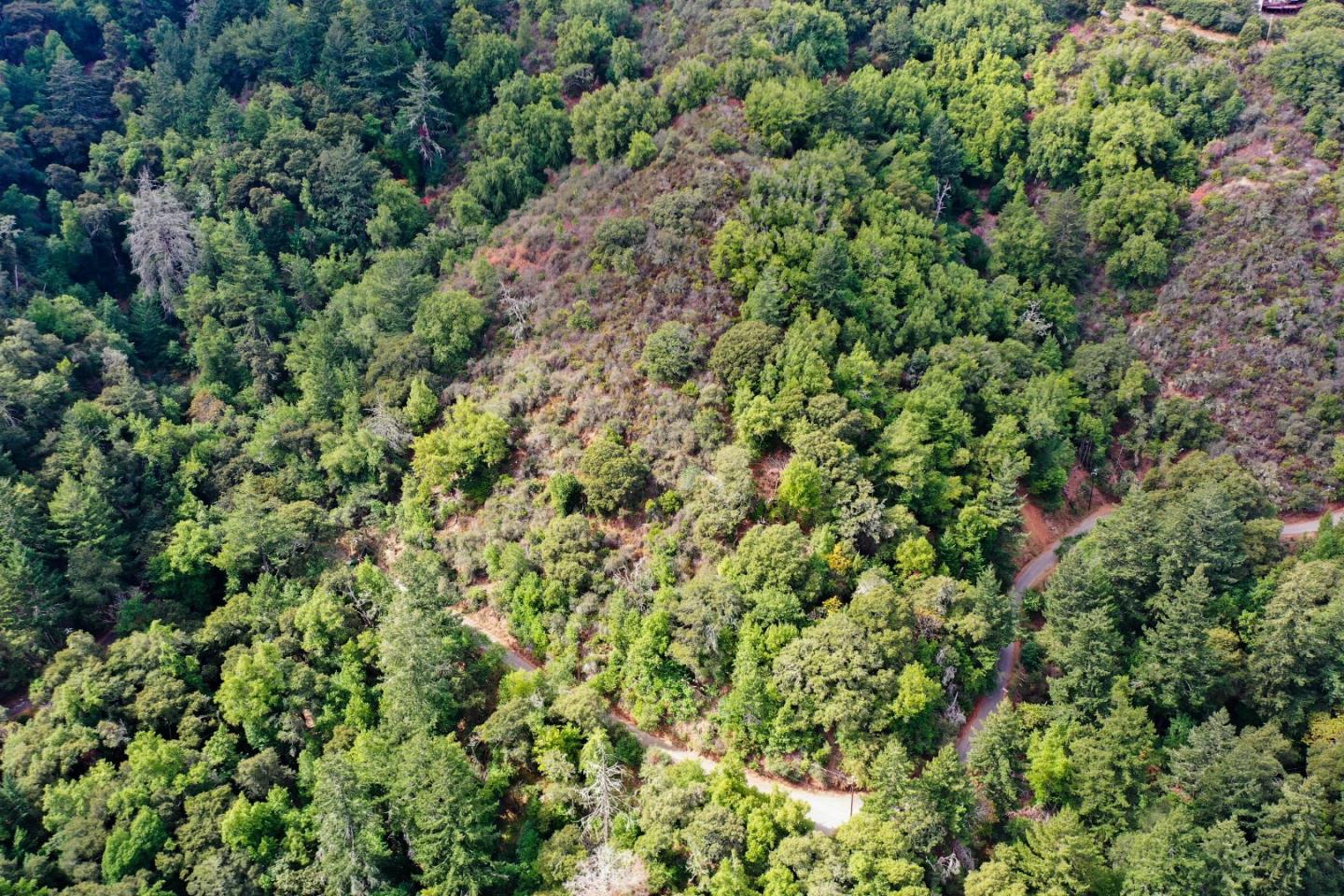 15910 Wildcat Ridge