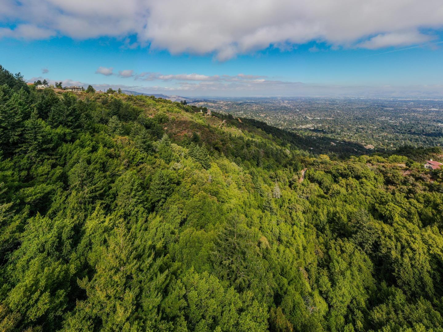 15910 Wildcat Ridge