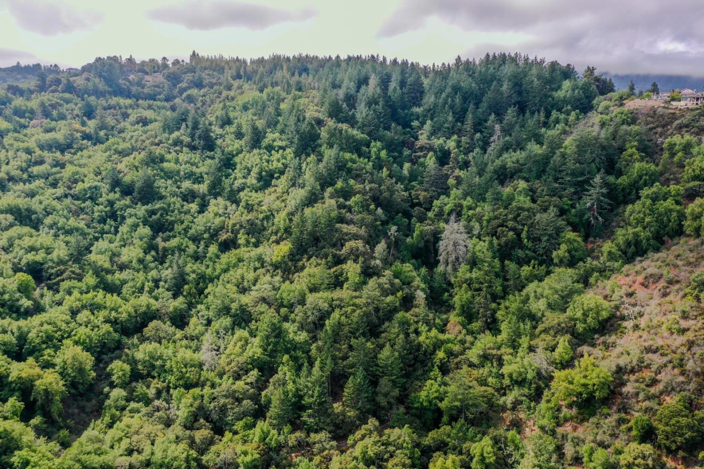 15910 Wildcat Ridge