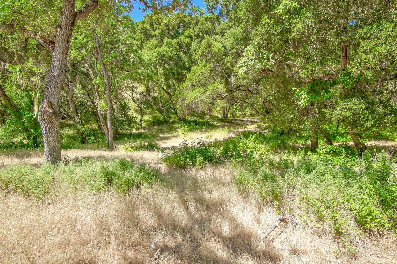 Indian Creek Ranch, 36000 Carmel Valley Road