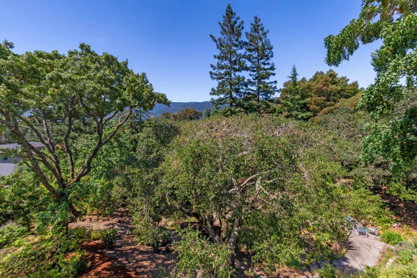 144 Alta Mesa Road