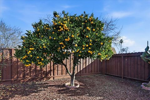 Tiny photo for 6328 Zulmida Avenue, Newark, CA 94560 (MLS # ML82035275)