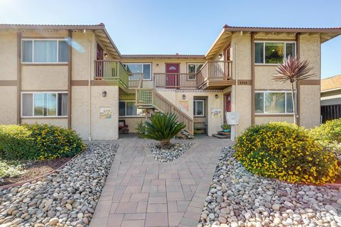 Tiny photo for 1208 Pierce Street, SANTA CLARA, CA 95050 (MLS # ML82028403)