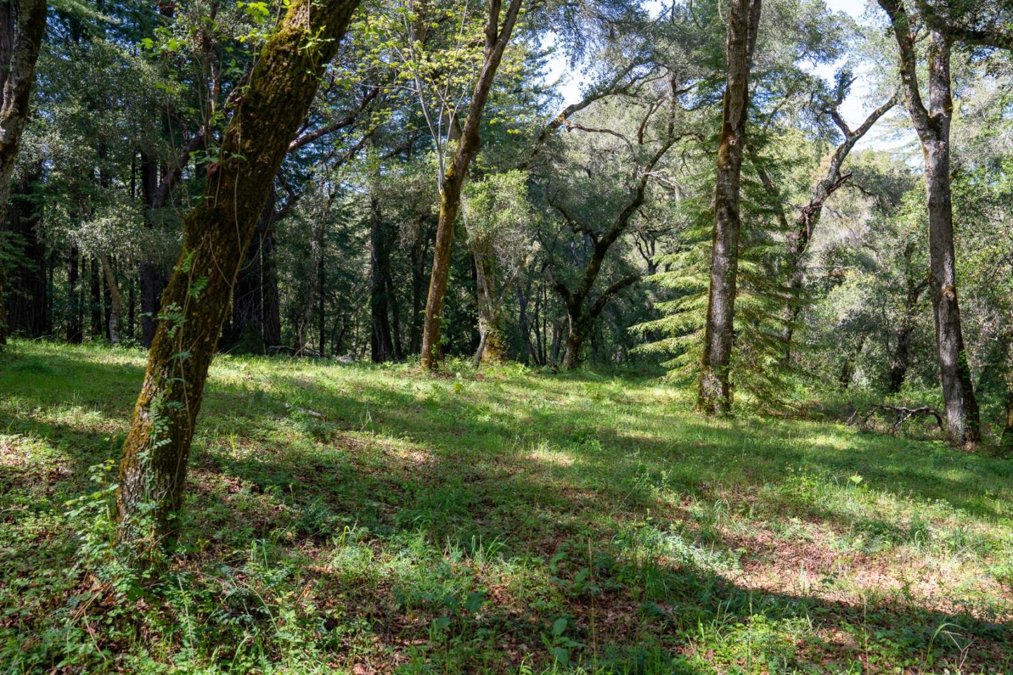 35000 Robinson Canyon Road