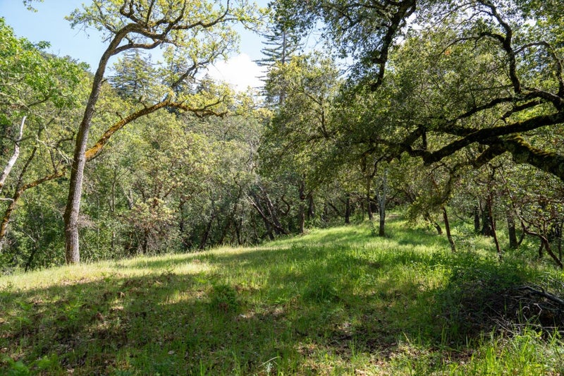 35000 Robinson Canyon Road