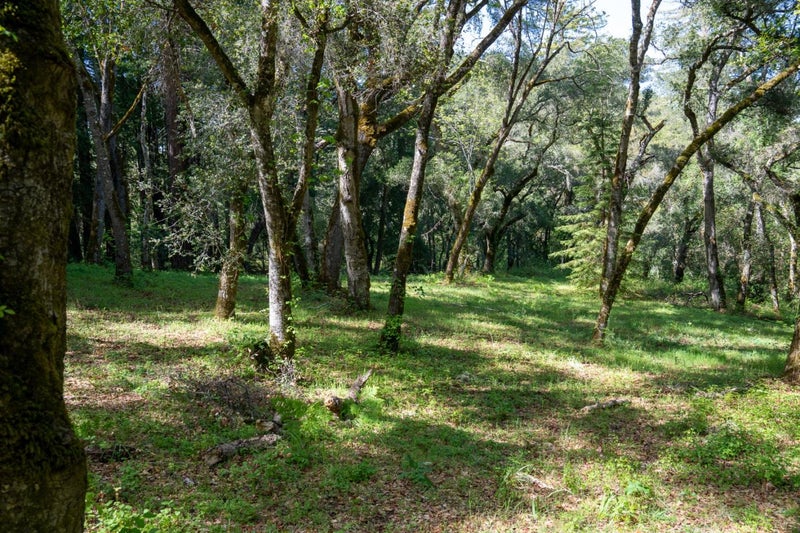 35000 Robinson Canyon Road