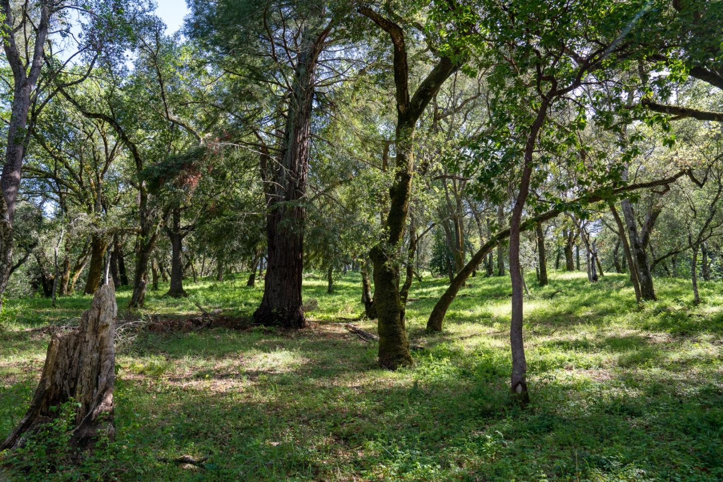 35000 Robinson Canyon Road