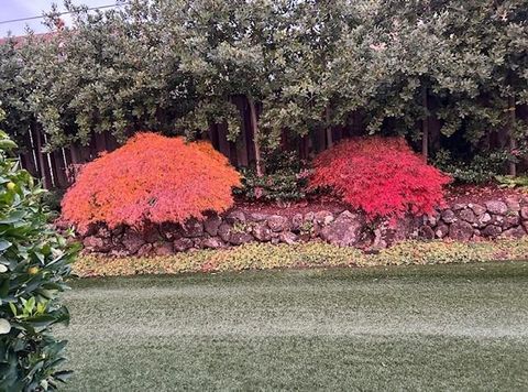 Tiny photo for 22408 Balustrol Court, CUPERTINO, CA 95014 (MLS # ML82029192)