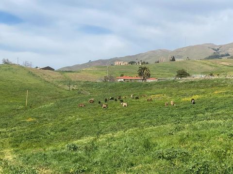 Tiny photo for 2375 Old Calaveras Road, MILPITAS, CA 95035 (MLS # ML82049197)