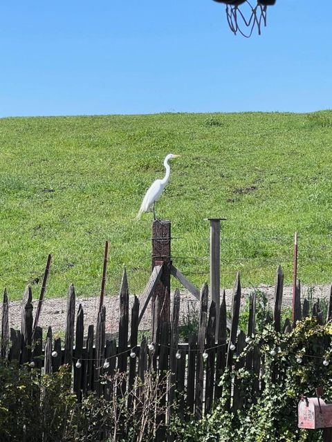 Tiny photo for 2375 Old Calaveras Road, MILPITAS, CA 95035 (MLS # ML82049197)
