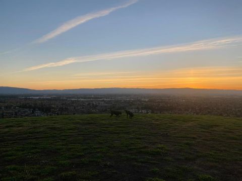 Tiny photo for 2375 Old Calaveras Road, MILPITAS, CA 95035 (MLS # ML82049197)