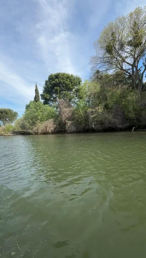 0 Halls Island