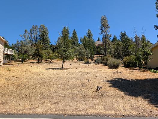 773 Dogwood Drive