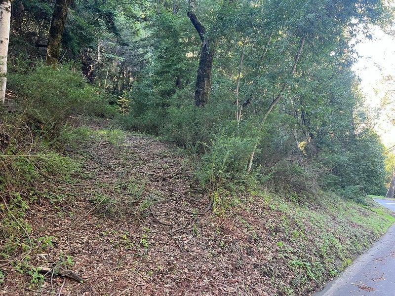559 Patrol Road