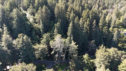 Tiny photo for 559 Patrol Road, REDWOOD CITY, CA 94062 (MLS # ML82036894)