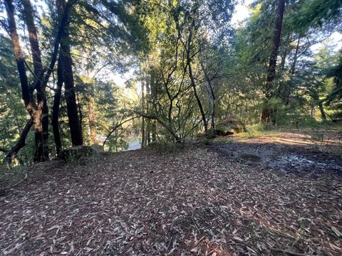 Photo of 559 Patrol Road, REDWOOD CITY, CA 94062 (MLS # ML82036894)