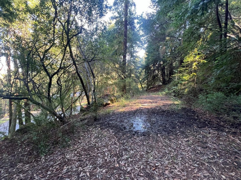 559 Patrol Road