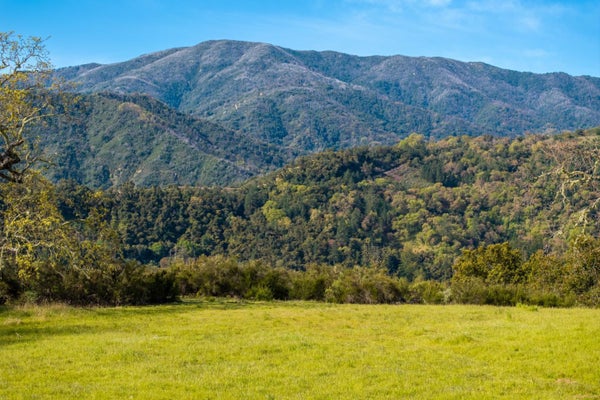 14 LONG RIDGE TRL LOT 232, CARMEL, CA 93923 - Image 45baf417322c9719b0abcc5c275233c8/3277677752