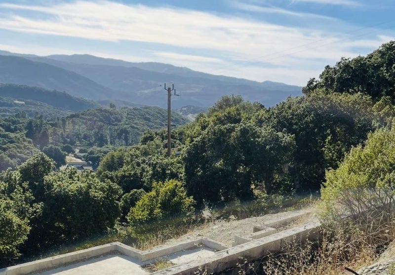 26135 Zdan Road