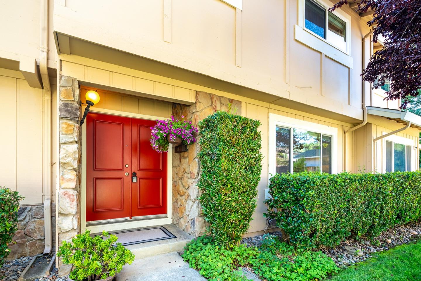 10019 Dove Oak Court