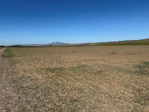 Tiny photo for 0 Metz Road, KING CITY, CA 93930 (MLS # ML82030642)