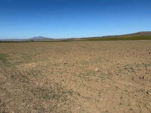 Tiny photo for 0 Metz Road, KING CITY, CA 93930 (MLS # ML82030642)