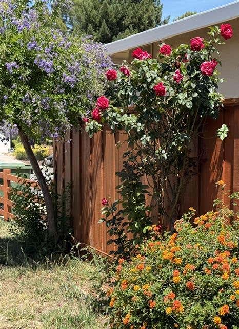 Tiny photo for 523 Hickory Place, SANTA CLARA, CA 95051 (MLS # ML82058336)