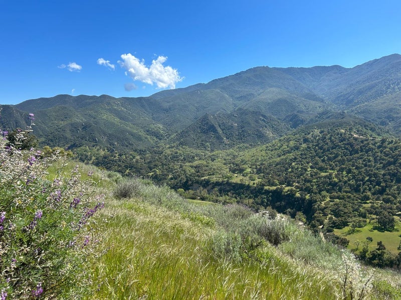 47208 Arroyo Seco Road