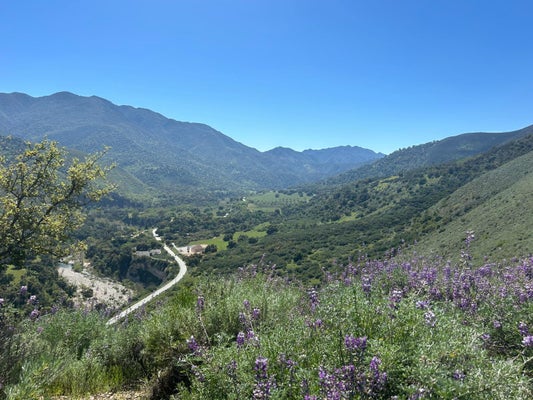 47208 ARROYO SECO RD, GREENFIELD, CA 93927 - Image 472f164bb4e802cc9f03c5d1b497f633/437973667