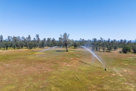 Tiny photo for 17962 Coyote Lane, ANDERSON, CA 96007 (MLS # ML82048597)