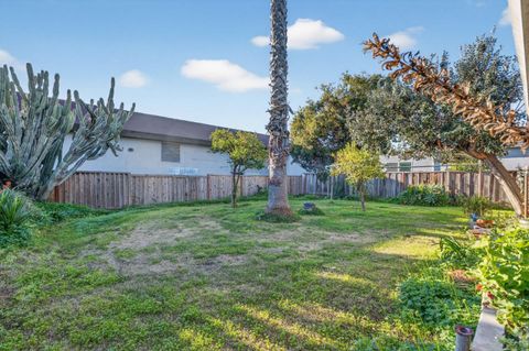 Tiny photo for 3052 Kentridge Drive, SAN JOSE, CA 95133 (MLS # ML82031206)