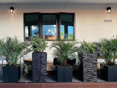 Tiny photo for 2050 Williams Street, PALO ALTO, CA 94306 (MLS # ML82035281)