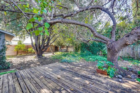Tiny photo for 1641 Santee Drive, SAN JOSE, CA 95122 (MLS # ML82036896)