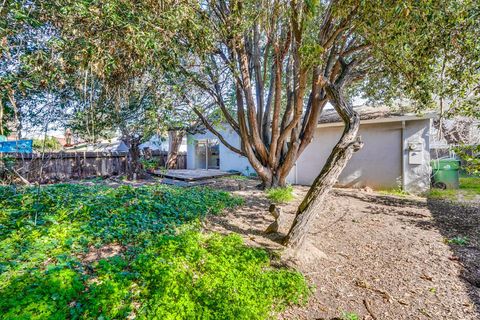 Tiny photo for 1641 Santee Drive, SAN JOSE, CA 95122 (MLS # ML82036896)