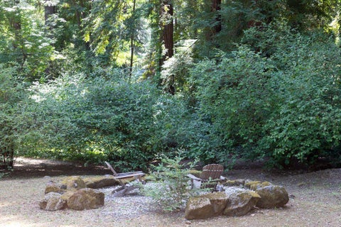 Tiny photo for BOULDER CREEK, CA 95006 (MLS # ML82053764)